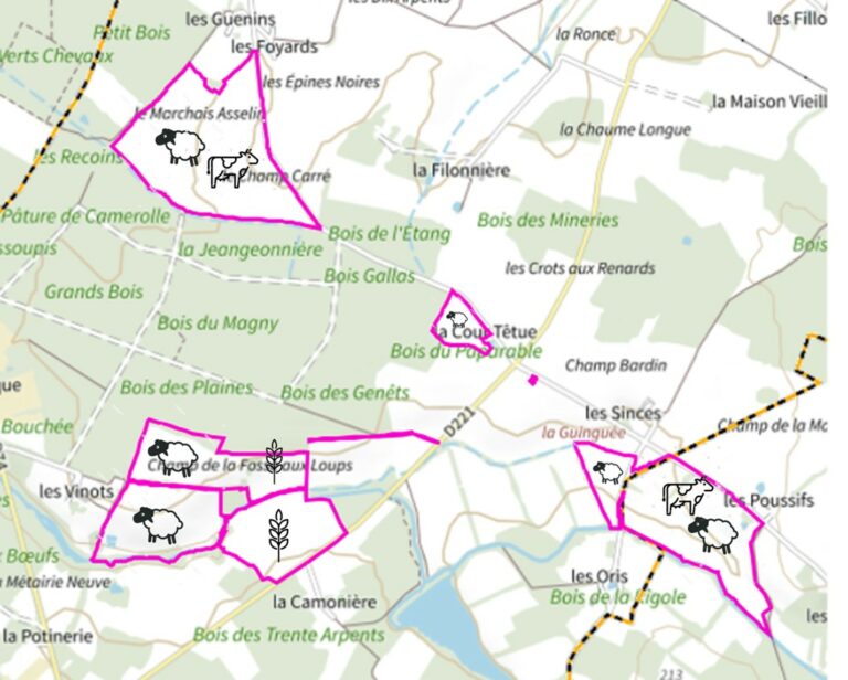 Zoom sur les communes de Saint-Privé et Saint-Martin-des-Champs - Nord Ouest de la zone d'étude