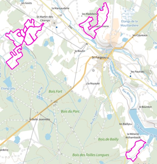 Zoom sur Saint-Matin-des-Champs et Saint-Fargeau - Zone Sud Est de la commune